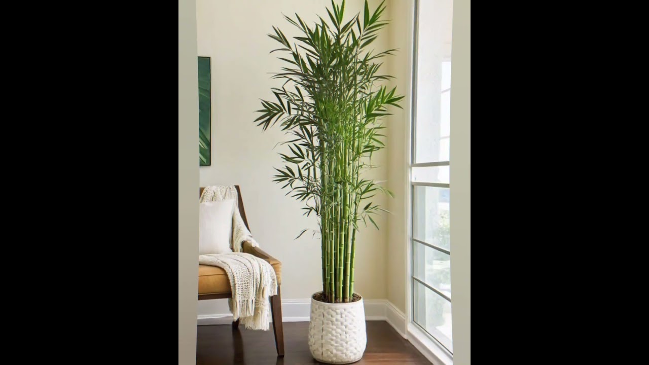 🌿 Bamboo Plant Home & Office Styling Ideas 🏡✨