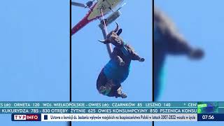 Helikopter ratunkowy wysłany do rannej krowy 🐄🚁 screenshot 1