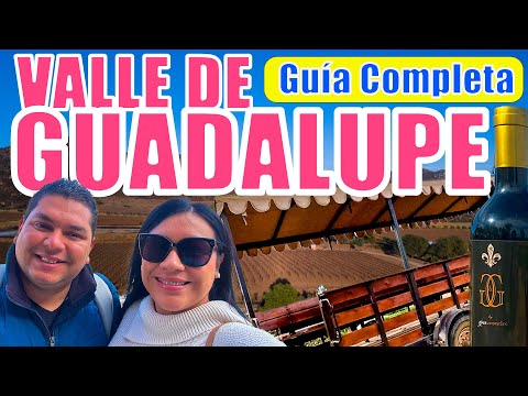 Valle de Guadalupe: Guía Completa | Qué Hacer, Comer y Tips de Viaje | Baja California 🇲🇽