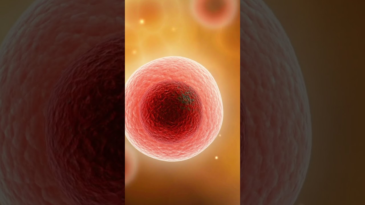 The Anti-Cancer Properties of Aronia Berry 