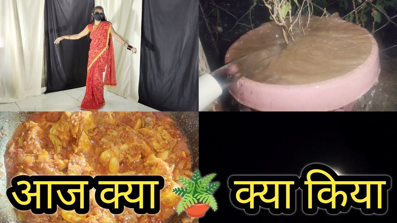 आज क्या 🪴 क्या किया