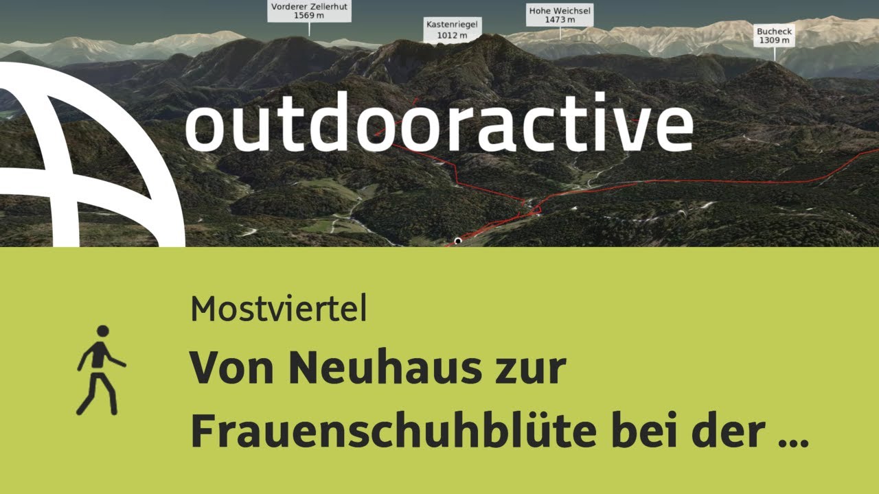 Wanderung im Mostviertel: Von Neuhaus zur Frauenschuhblüte bei der "Weißen Ois"