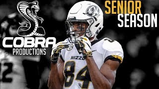 Emanuel Hall Official Senior Highlights || Most Underrated WR in SEC ||