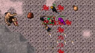 Tibiascape BR vs Swe