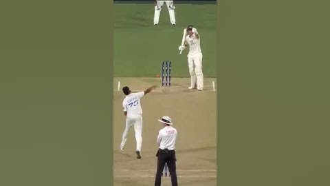 Unusual stoppage at Adelaide Oval 👀