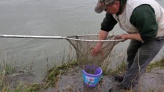 Cowlitz River smelt netting.