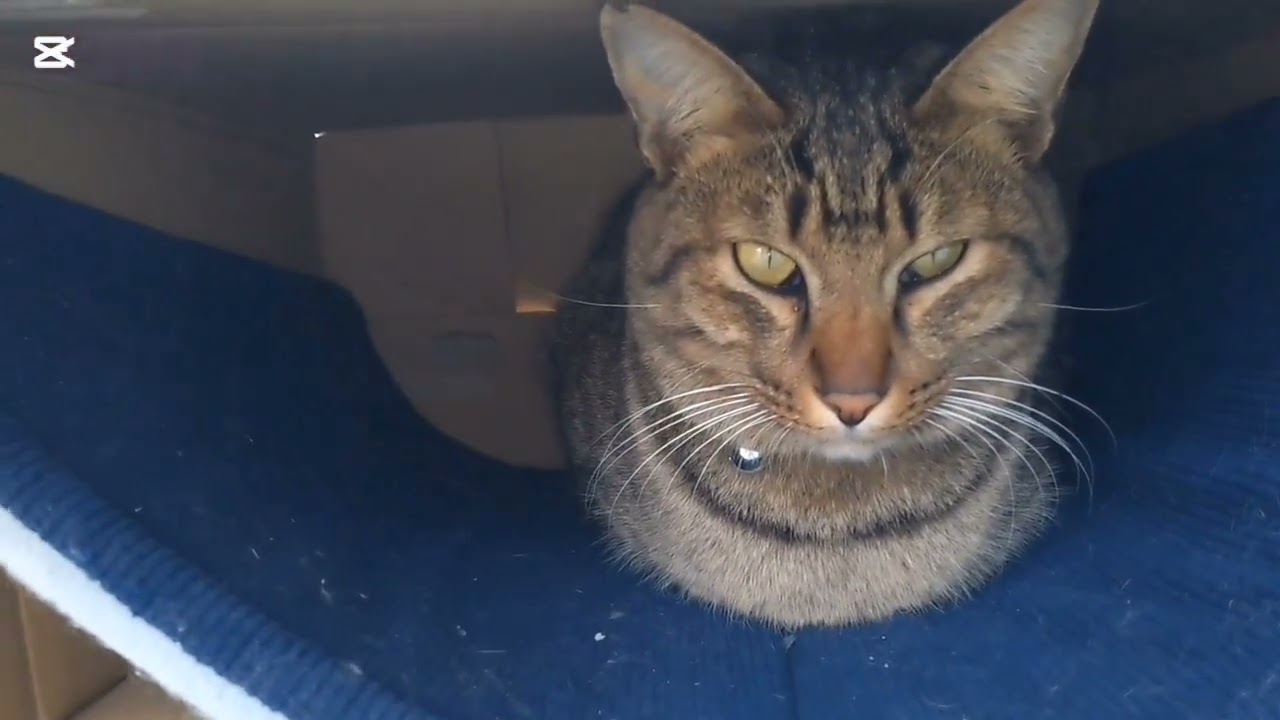 遂にアパート解体ってばい🤭…🌟2928