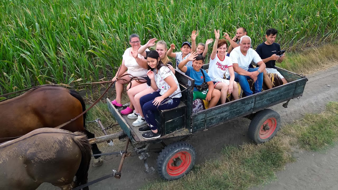 Kölkedi tábor - Lovaskocsizás