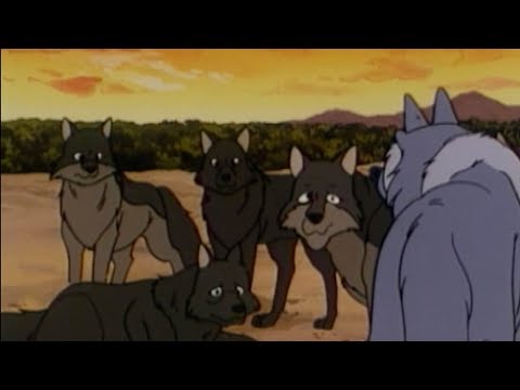 Il libro della giungla I JUNGLE BOOK ep. 26 | IT