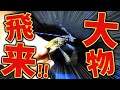 オオクワガタの採集記録のある土地でライトトラップしたら予想外の大物がやってきた！