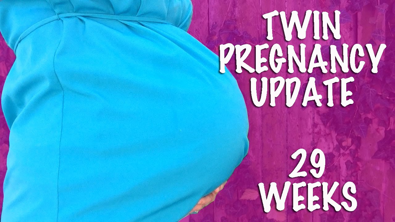 Ultrasound of Twin Pregnancy Update 29 Weeks Pregnant YouTube