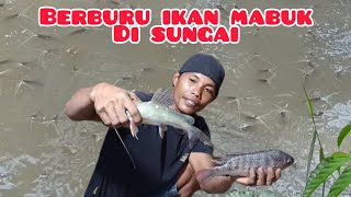 Berburu ikan mabuk di sungai @Candrasadewaa