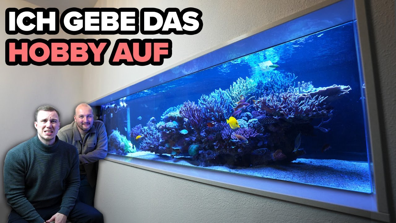 "Ich werde das Hobby aufgeben" - Ein letztes Mal das Wesley's MEERWASSERAQUARIUM?