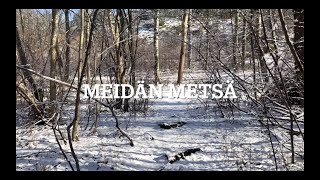 Ketunpesän Eskarit Ja Pikkueskarit - Meidän Metsä