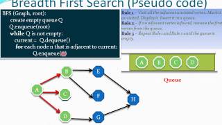 Graph: Breadth First Search(BFS)