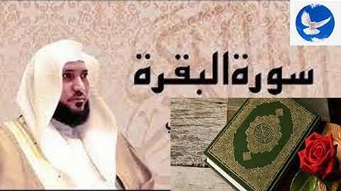 الرقية الشرعية بدون حقوق النشر