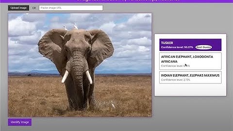 TensorFlow.js + Mobilenet + Teachable Machine + Speech Command + BertQA + FaceAPI + Machine Learning