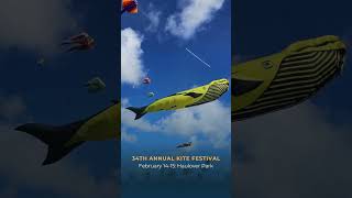 The Best Miami Events In February 2026