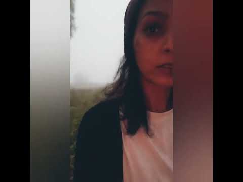 Taking my dog for a walk in the fog - Vlog