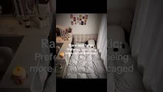 preferring beds more narrow and caged in