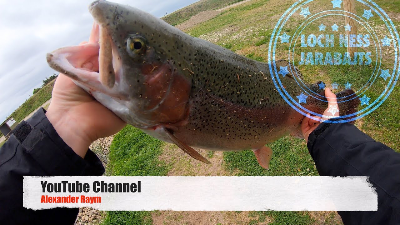 XXL Lachsforellen Angeln / Loch Ness Dänemark JaraBaits / Spoon