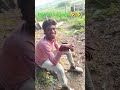 # perem la pagal🤣🤣 #trending #video # support #