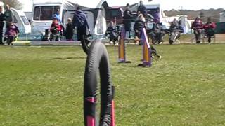 Stuart Doughty and Quin GT May UKA 2016 Masters Jumping