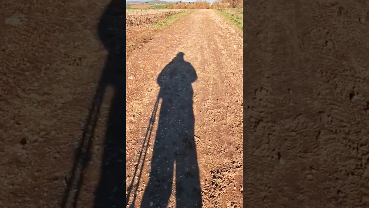 ⁣20 questions about the Camino (II)