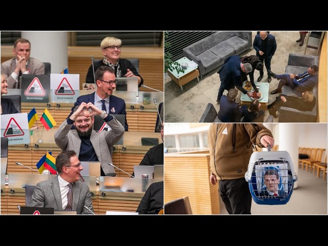 Kebabai, vafliai ir katinas Nuodėgulis: kaip Seimas svarstė LRT pataisas