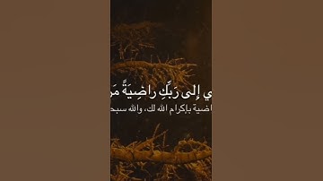 الآيات من ٢٧ إلى ٣٠ من سورة الفجر للقارئ الشيخ محمد صديق المنشاوي