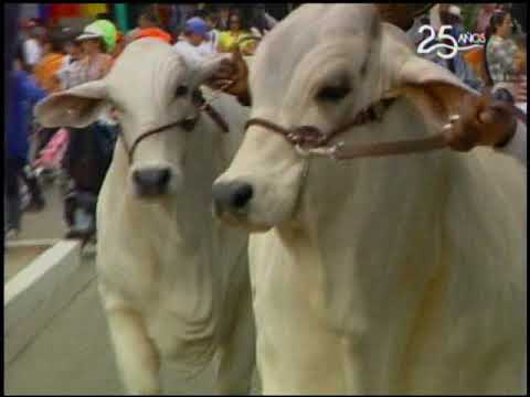 Ecuador Agropecuario 25-10-2018
