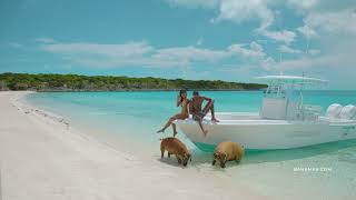 It's Not One Island. It's a Lifetime of Them. | Bimini, Ragged Island, Grand Bahama Island