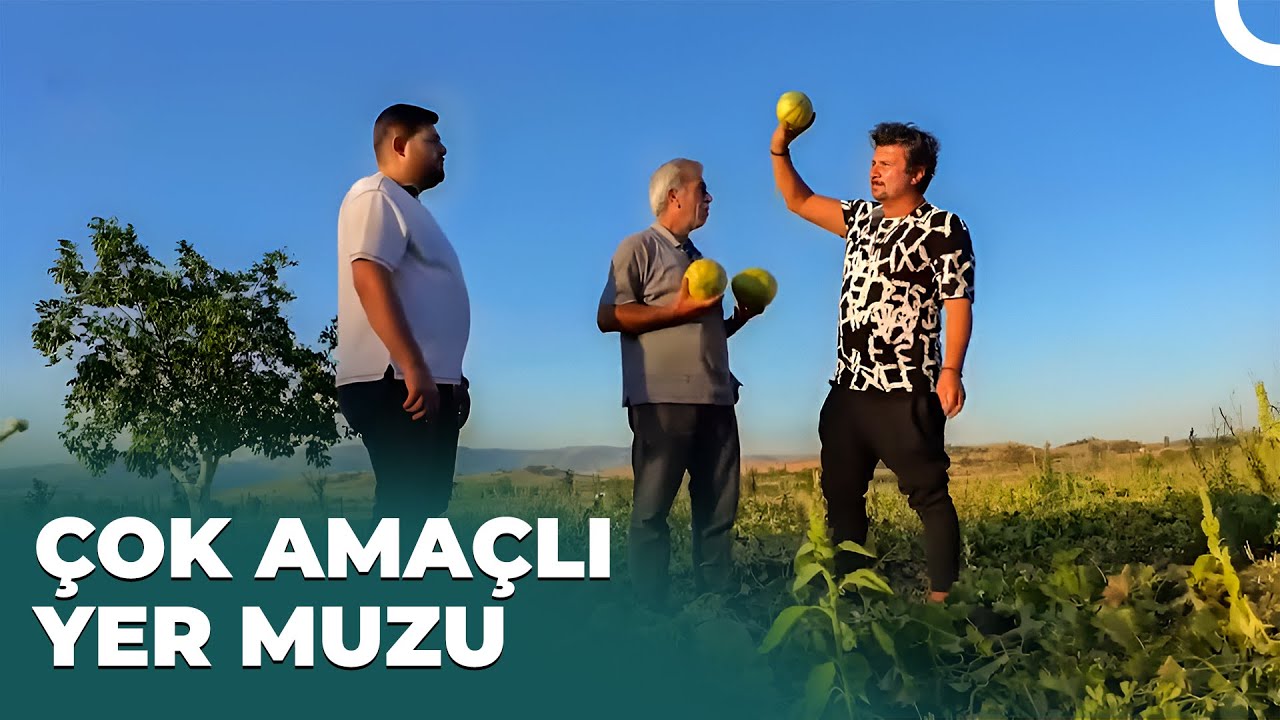 Yozgat'ın Aydıncık İlçesine Özgü Bağrıbütün Kavunu | Gündüz Gece