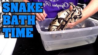 How to remove stuck shed on a ball python.  Care tip!!