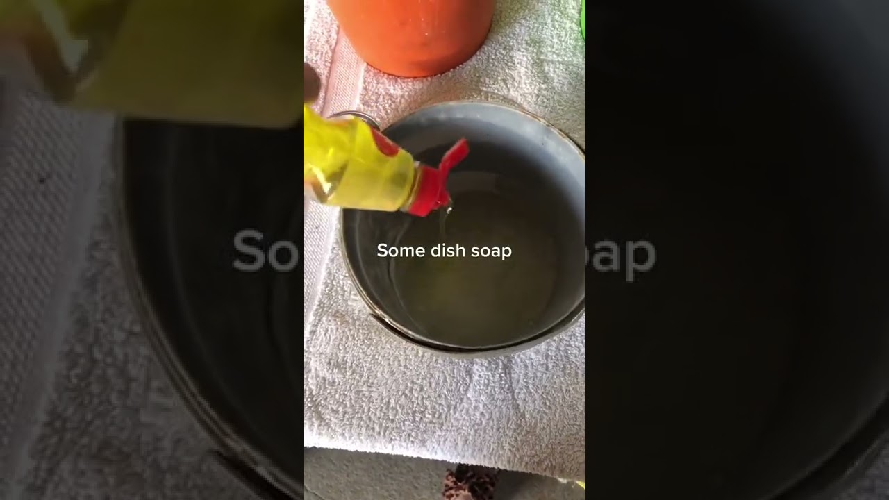 EQUESTRIAN LIFE How To Make The Most Awesome Fly Catcher @mathilda equestrian