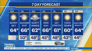 NYC Weather Forecast: October 19, 2026