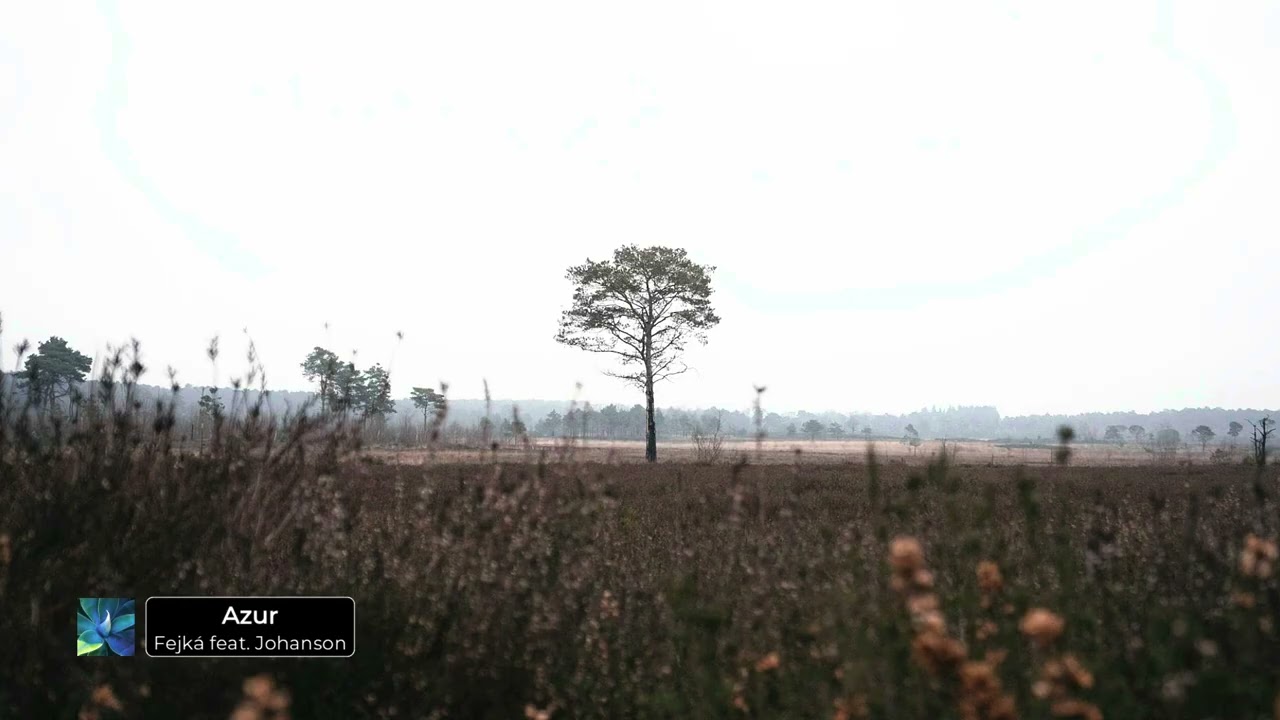 Fejká feat. Johanson - Azur
