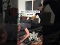 Very LOUD Coccyx Crack Chiropractic Adjustment Asmrsounds Coccyxpain 