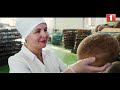 Один день на ОАО "Булочно-кондитерская компания "Домочай" | Светлана Рыбкова