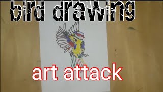 colourful bird drawing|art attack.