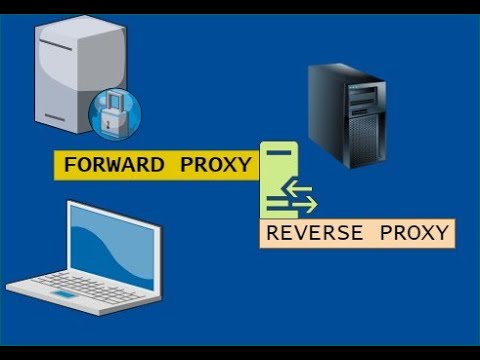 Forward and Reverse Proxy | Proxy | Hindi | Urdu