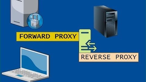 Forward and Reverse Proxy | Proxy | Hindi | Urdu