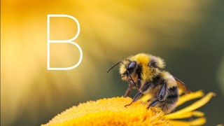 If I Reach 300 Subscribers Ill Beat This Level