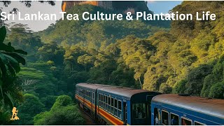 Sri Lanka Tea Culture Plantation Life