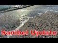 Sanibel - UPDATE 4/25/23 - Alligator Attack, Parking Fines &amp; Citations