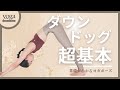 【ダウンドッグ】基礎がわかる一番シンプルなヨガポーズ紹介「初心者必見のポイント解説」