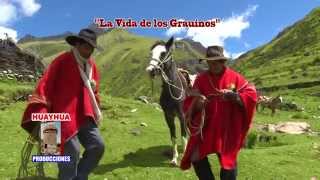 Conjunto Aficion Sangre Grauina - Hualaycho Grauino HUAYHUA PRODUCCIONES chords