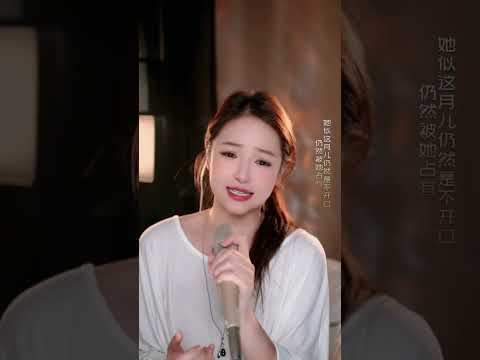 2026-08-10 月半小夜曲