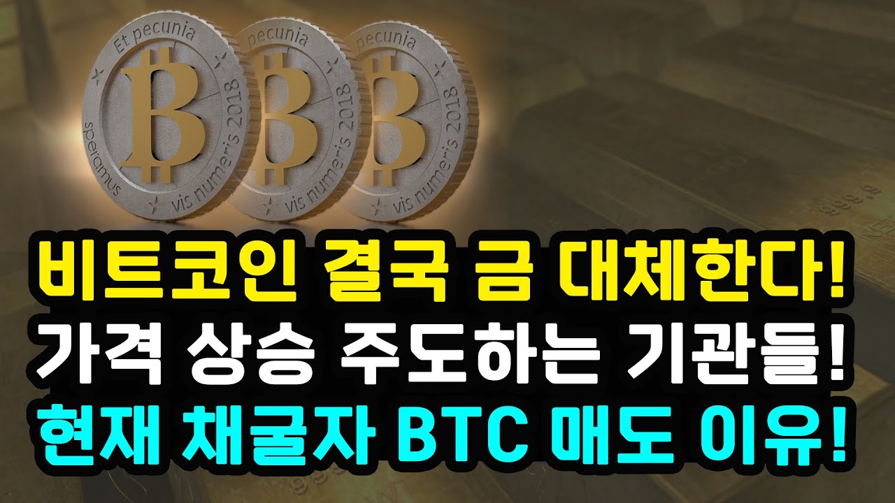 비트코인 결국 금 대체할까! BTC 상승 기관과 고래에 의해서 주도 향후 전망은? / 채굴자 단기 매도압력 증가 리플 이더리움
