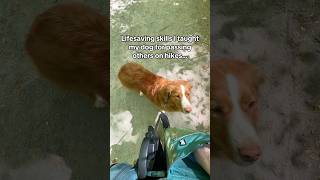 Every dog should know this #offleash  #dogtraining #hikingwithdogs